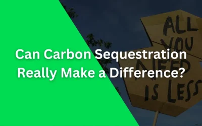 Unlocking the Future: The Essential Guide to Carbon Sequestration
