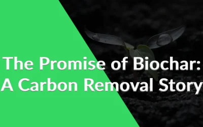 The Promise of Biochar: A Carbon Removal Story