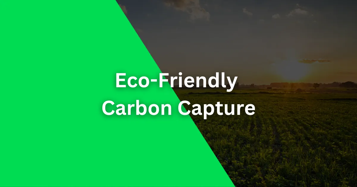 Eco-Friendly Carbon Capture