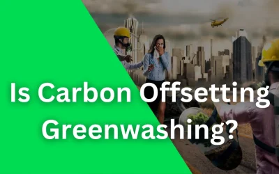 #1 Question: Is Carbon Offsetting Greenwashing?