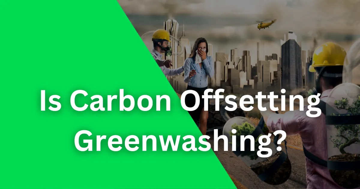is carbon offsetting greenwashing