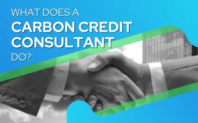 What Exactly Does a Carbon Credit Consultant Do?