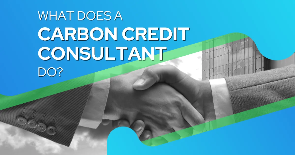 carbon credit consultant