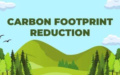 Can I Pay to Offset My Carbon Footprint? A Guide for Carbon Footprint Reduction