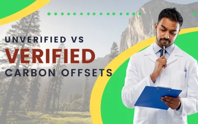 Difference Between Unverified and Verified Carbon Offsets