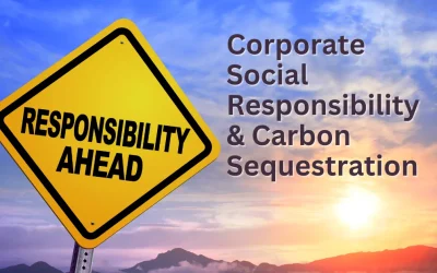 Corporate Social Responsibility and Carbon Sequestration: Pioneering Sustainable Practices for a Greener Tomorrow