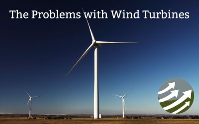 Beyond Wind Turbines: Effective Climate Solutions with Dynamic Carbon Credits