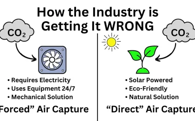 Direct Air Capture vs. Plant-Based Carbon Sequestration