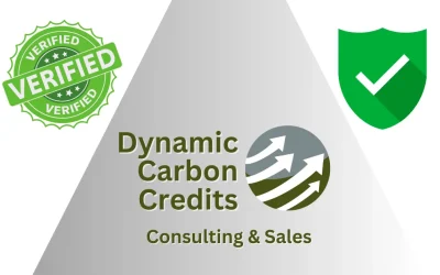 Understanding Carbon Offset Certification