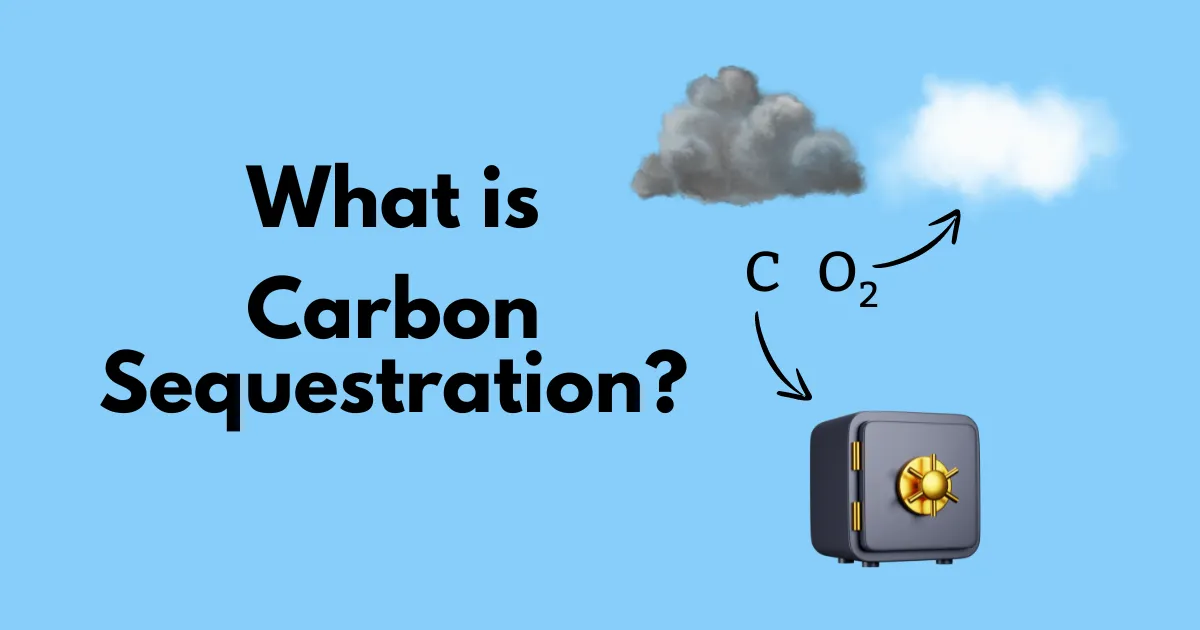 what is carbon sequestratiion