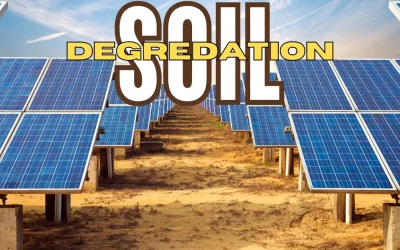 Addressing the Challenges of Solar Farm Soil Degradation