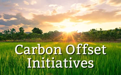 Understanding Carbon Offset Initiatives: A Comprehensive Guide