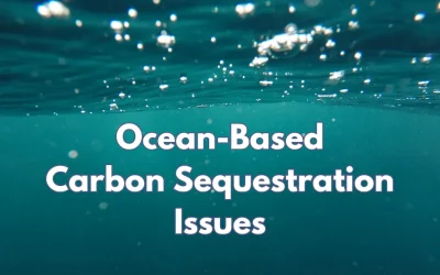 Issues with Ocean-Based Carbon Sequestration