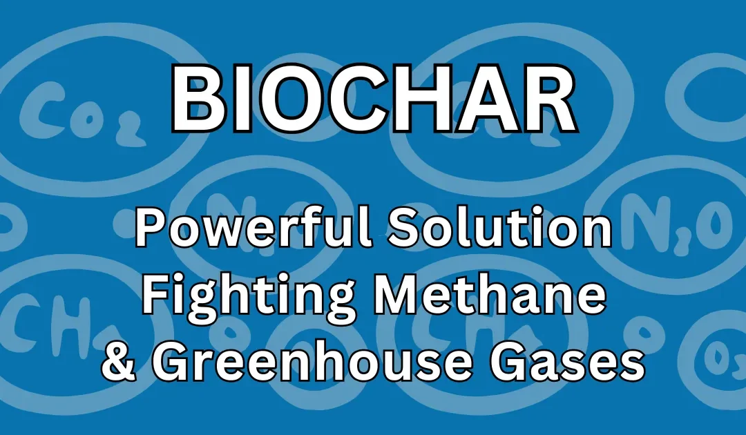 Biochar: How This Powerful Solution Fights Methane Emissions and Greenhouse Gases