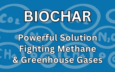 Biochar: How This Powerful Solution Fights Methane Emissions and Greenhouse Gases