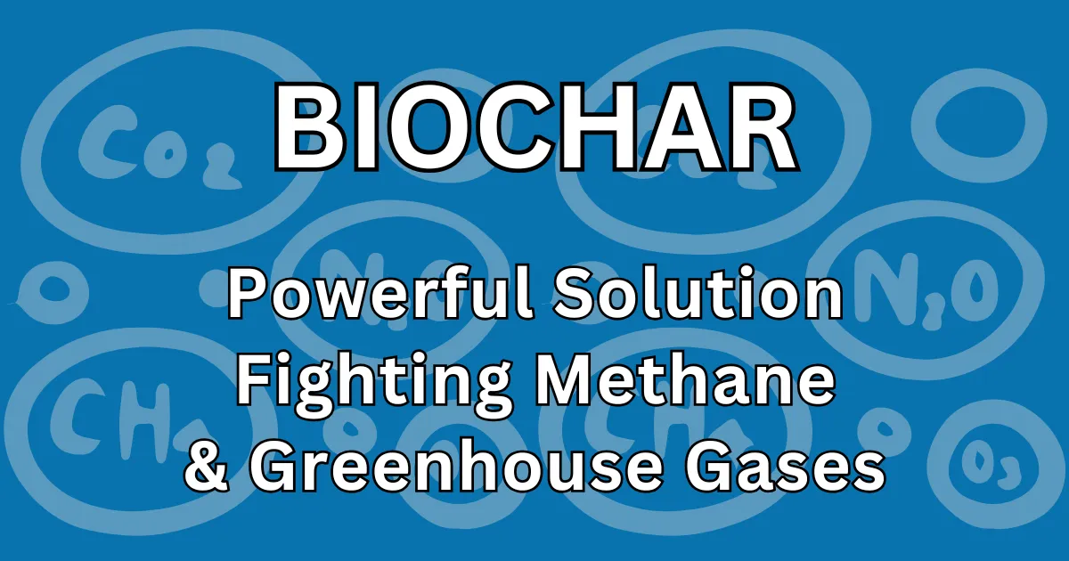 Biochar Solution