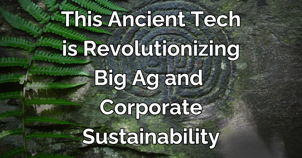 Biochar ancient technology