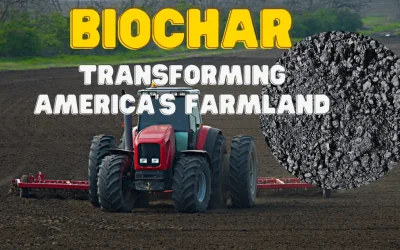 Climate Action: Dynamic Carbon Credits Transforming America’s Farmland