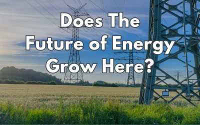 The Future of Energy Is Growing in Your Backyard: The Double-Edged Sword of Biomass Power