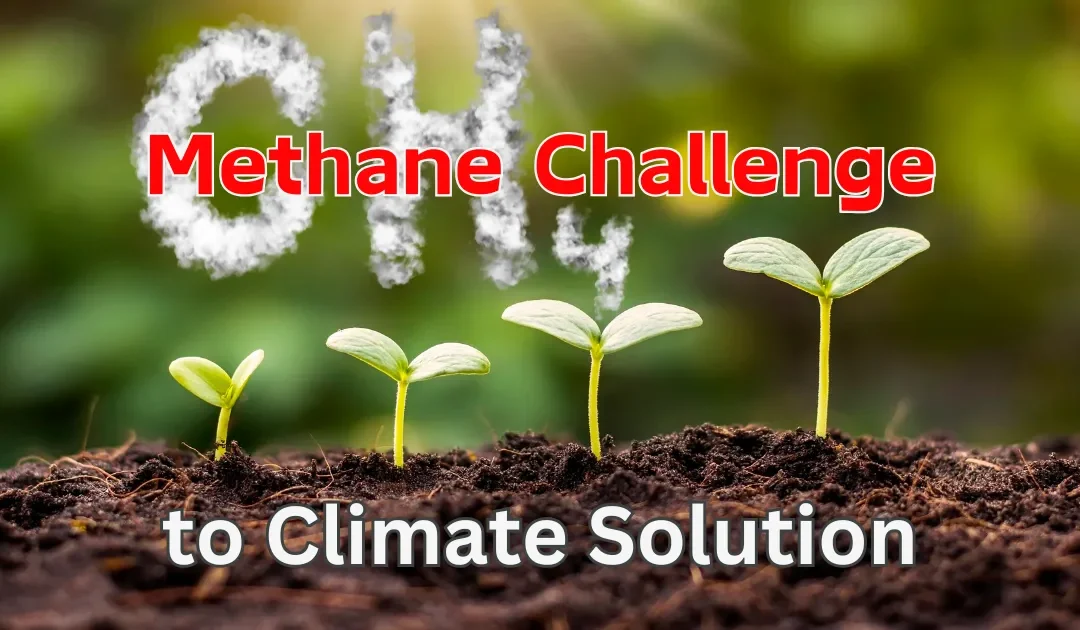 Methane’s Hidden Impact: The Climate Solution Growing Right Under Our Feet