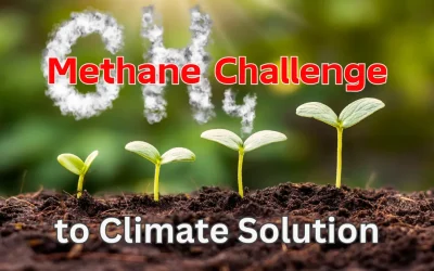 Methane’s Hidden Impact: The Climate Solution Growing Right Under Our Feet