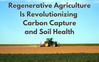 Digging Deep: How Regenerative Agriculture Is Revolutionizing Carbon Capture and Soil Health