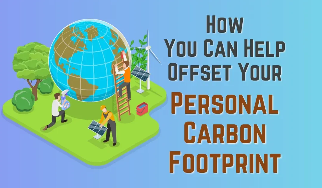 UNEP’s Emissions Gap and How You Can Help Offset Your Carbon Footprint Today