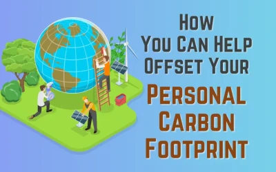 UNEP’s Emissions Gap and How You Can Help Offset Your Carbon Footprint Today