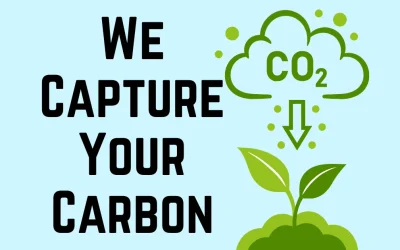 Why Use a Carbon Offset Company