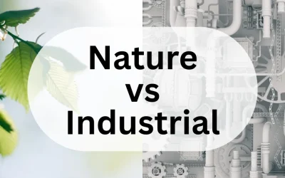 Direct Air Capture Plants: Nature’s Solution vs. Industrial Approaches