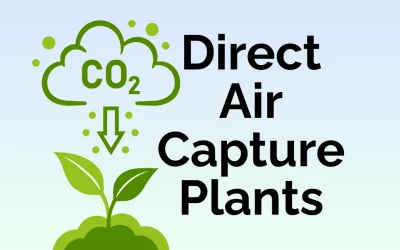 Nature Provides Direct Air Capture Plants