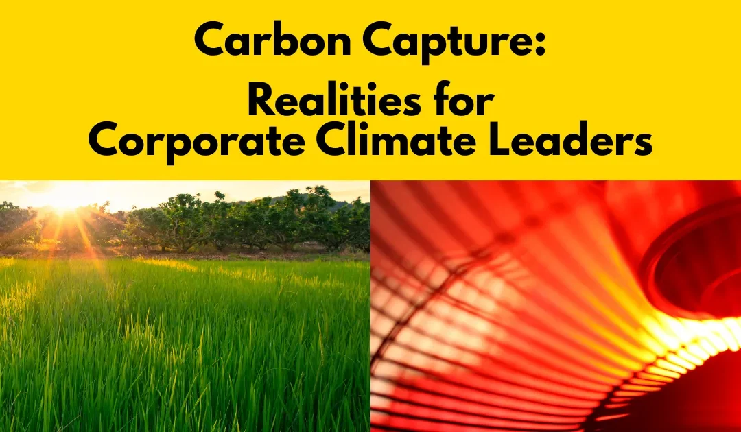 Direct Air Capture vs Carbon Capture: The Realities for Corporate Climate Leaders