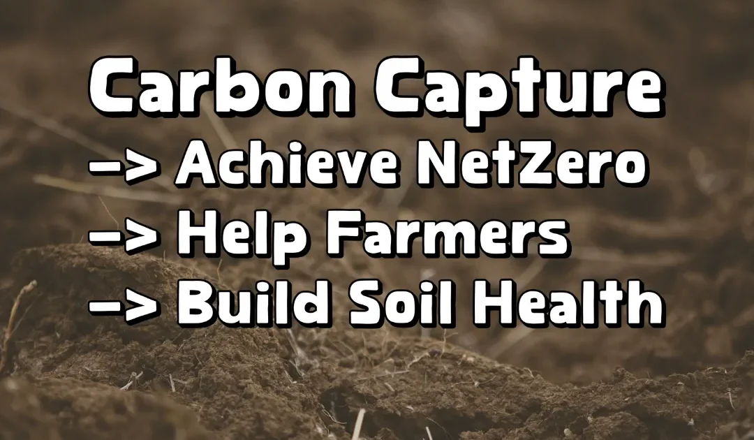 Carbon Capture That Uplifts Farmers and Builds Healthy Soil