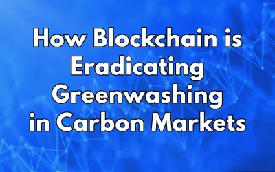 The Unchangeable Ledger: How Blockchain is Eradicating Greenwashing in Carbon Markets.