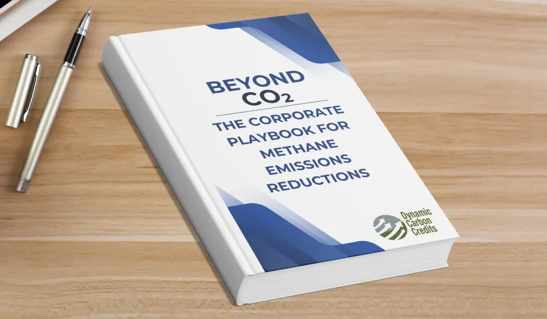Beyond CO2: The Corporate Playbook for Methane Emissions Reductions