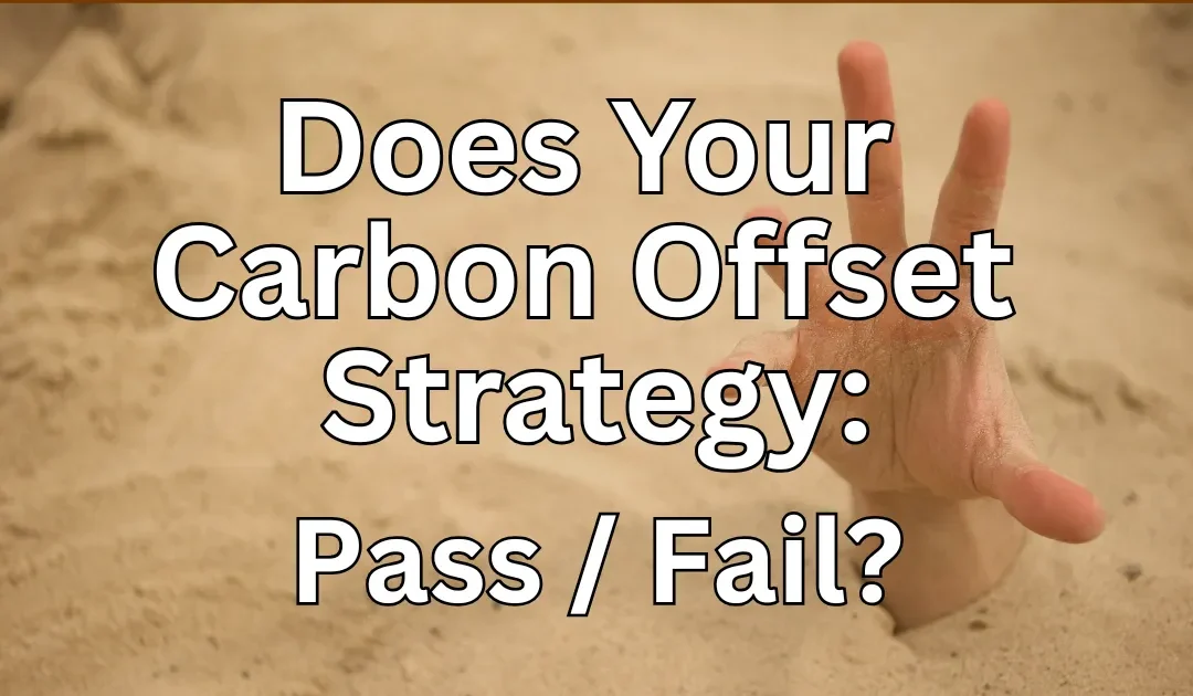 The Additionality Test: Is Your Carbon Offset Strategy Built on Bedrock or Quicksand?