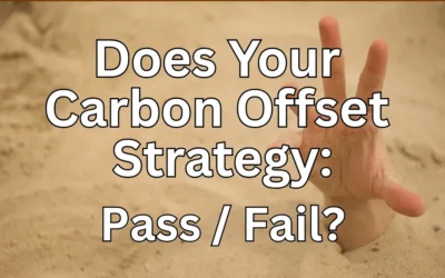 The Additionality Test: Is Your Carbon Offset Strategy Built on Bedrock or Quicksand?