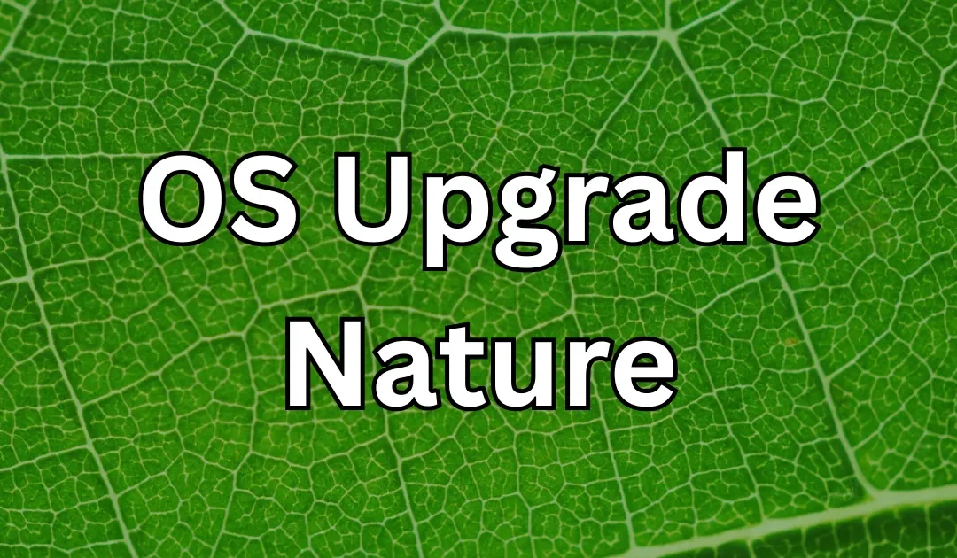 Nature’s Operating System: Photosynthesis