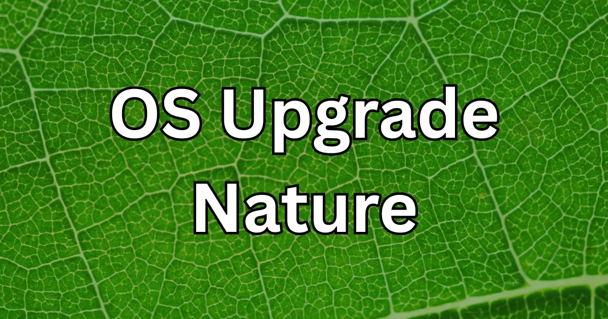 Photosynthesis