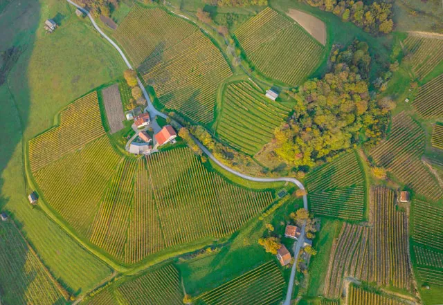 aerial farmland