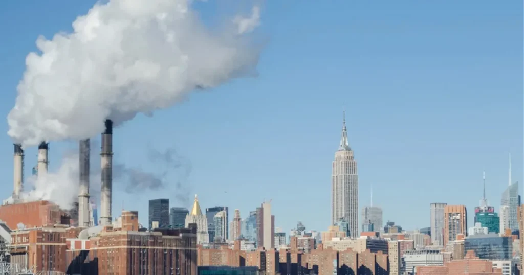 carbon capture carbon capture