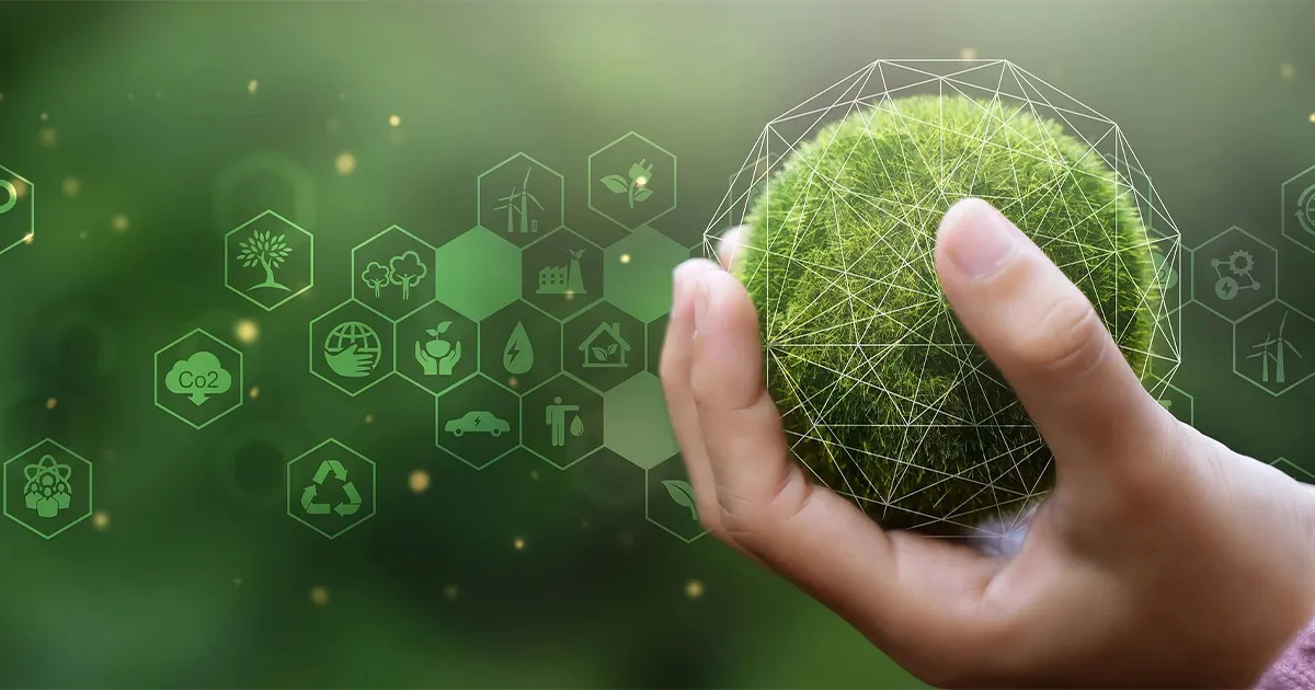 carbon credit calculation