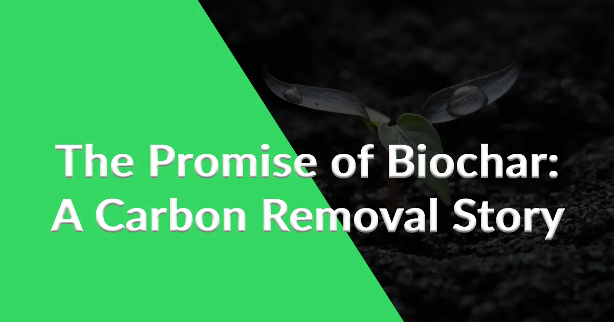 promise of biochar promise of biochar