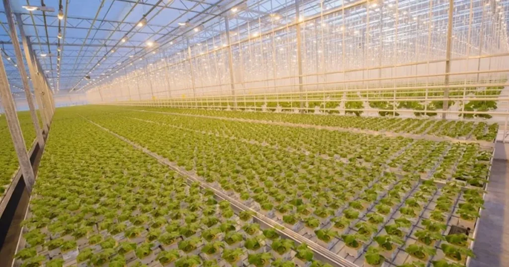 sustainable carbon credits sustainable carbon credits