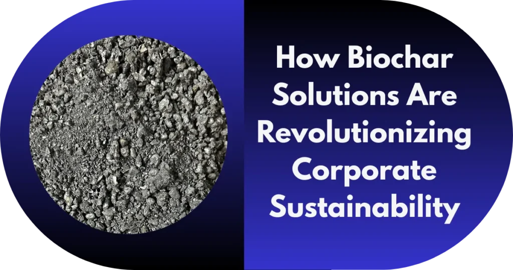 Biochar Solutions