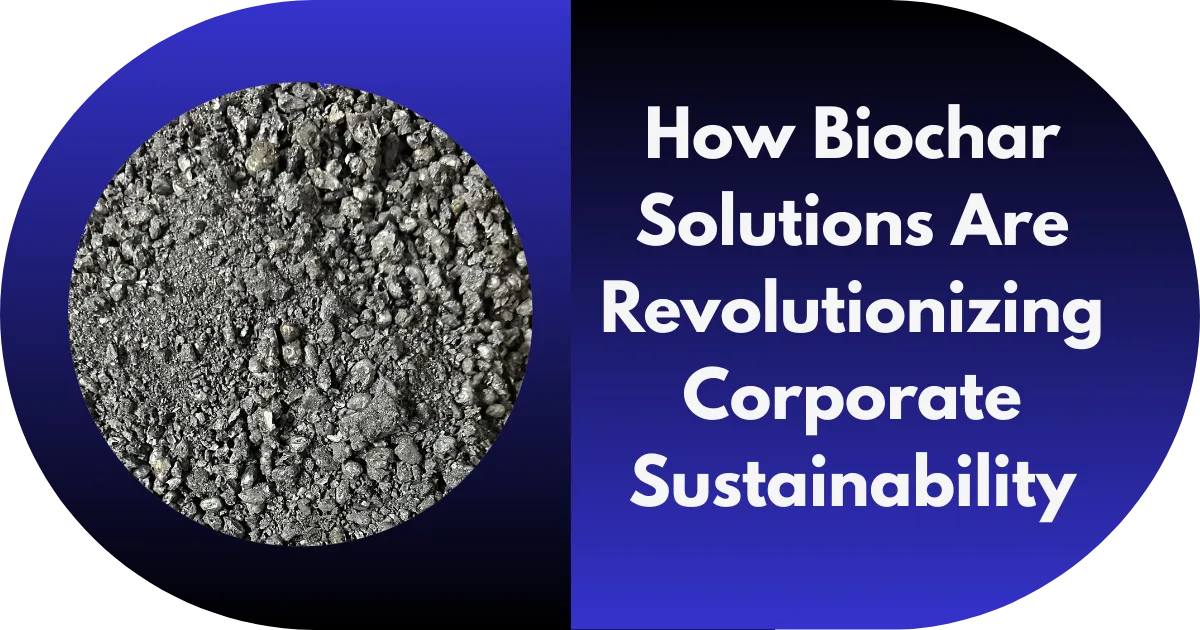 Biochar Solutions