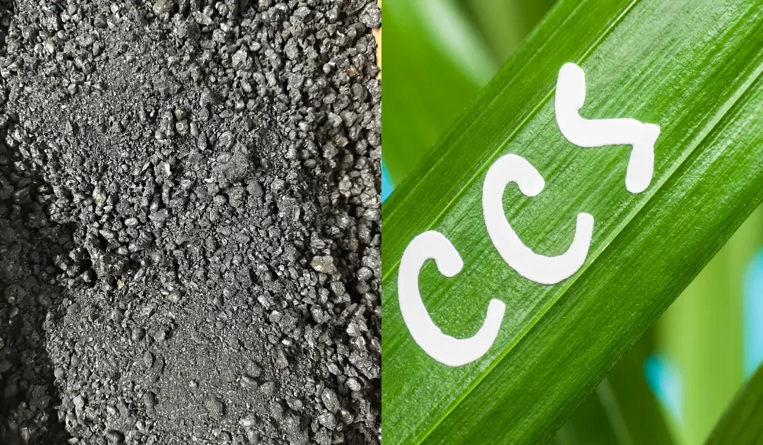 Biochar and Agricultural Direct Air Capture: Beyond Industrial CCS