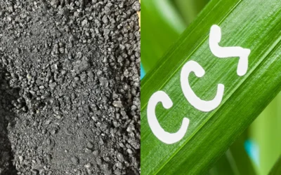 Biochar and Agricultural Direct Air Capture: Beyond Industrial CCS