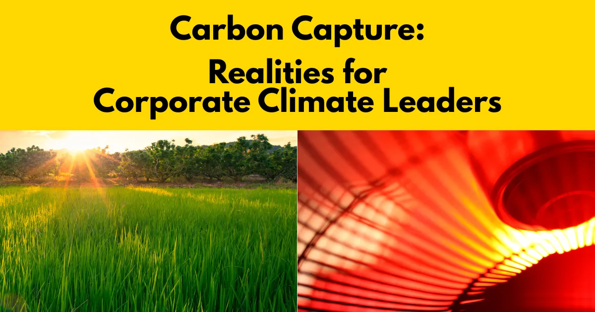 Direct Air Capture vs Carbon Capture