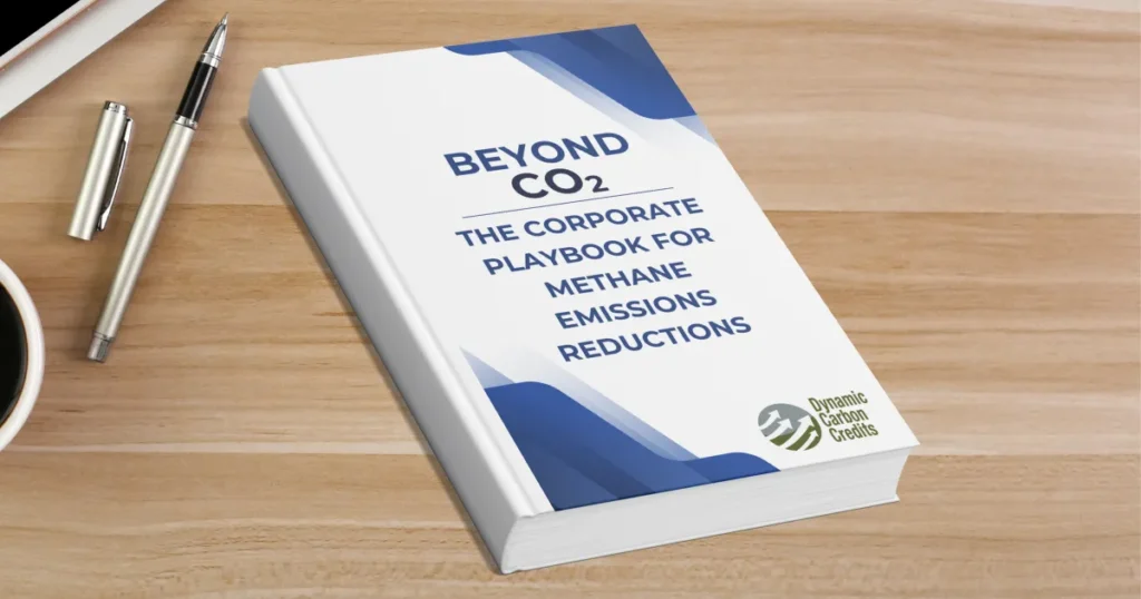 Methane Playbook